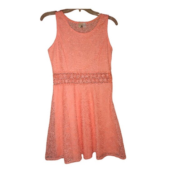 Francesca | Anthropologie Bird Cage Label Dress Lace waist size Large - Picture 3 of 5